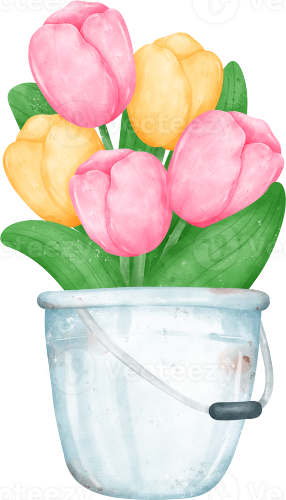 vibrant bouquet of tulip flowers in vase  in a delightful pastel watercolour hand drawing png