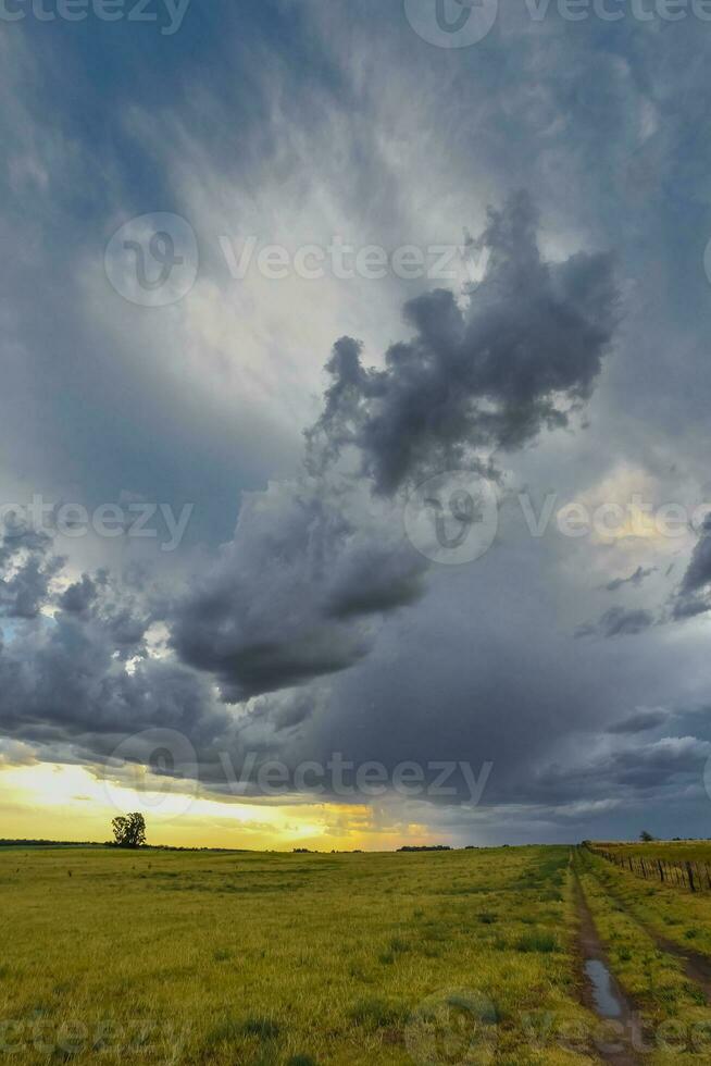 Stormy sky due to rain in the Argentine countryside, La Pampa province, Patagonia, Argentina. photo