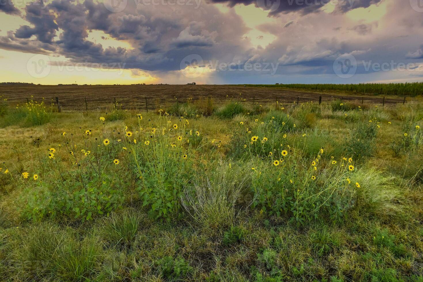 Tormentoso cielo debido a lluvia en el argentino campo, la pampa provincia, Patagonia, argentina. foto