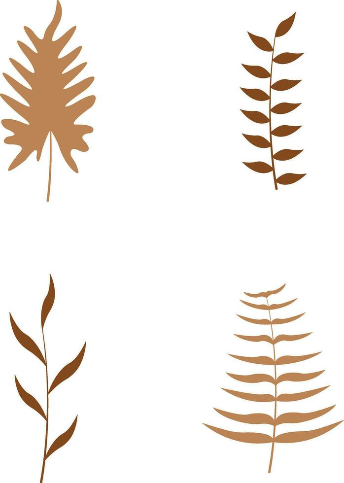 Boho Leaves, branches, twigs. Collection of botanical home wall art decor boho elements isolated on white background. Leaves design bundle vector