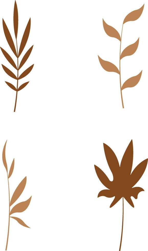 Boho Leaves, branches, twigs. Collection of botanical home wall art decor boho elements isolated on white background. Leaves design bundle vector