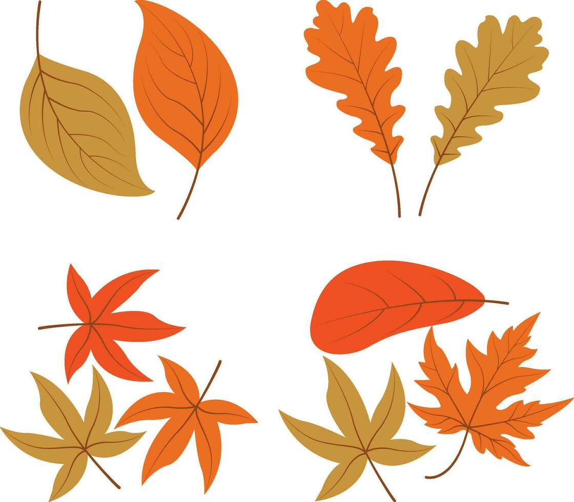 otoño hojas. colección de vistoso que cae otoño hojas aislado en blanco antecedentes. vector ilustración.