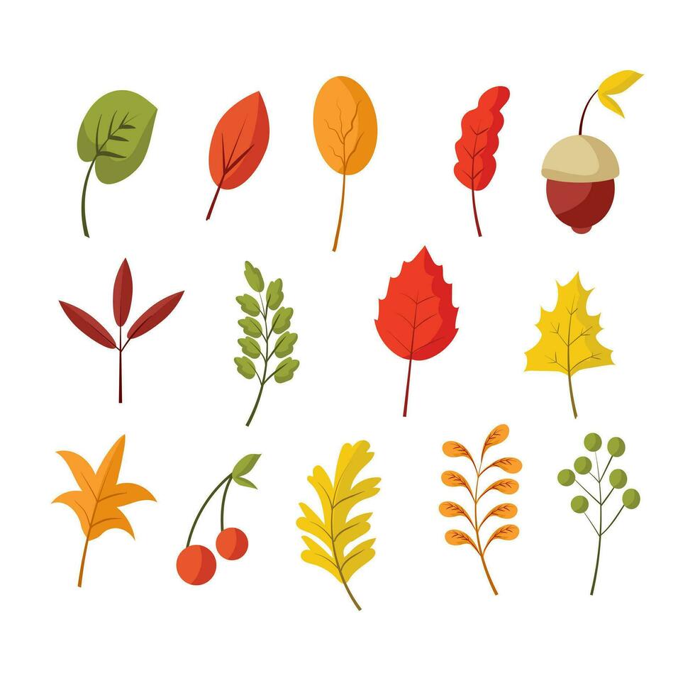 otoño hojas elemento vector