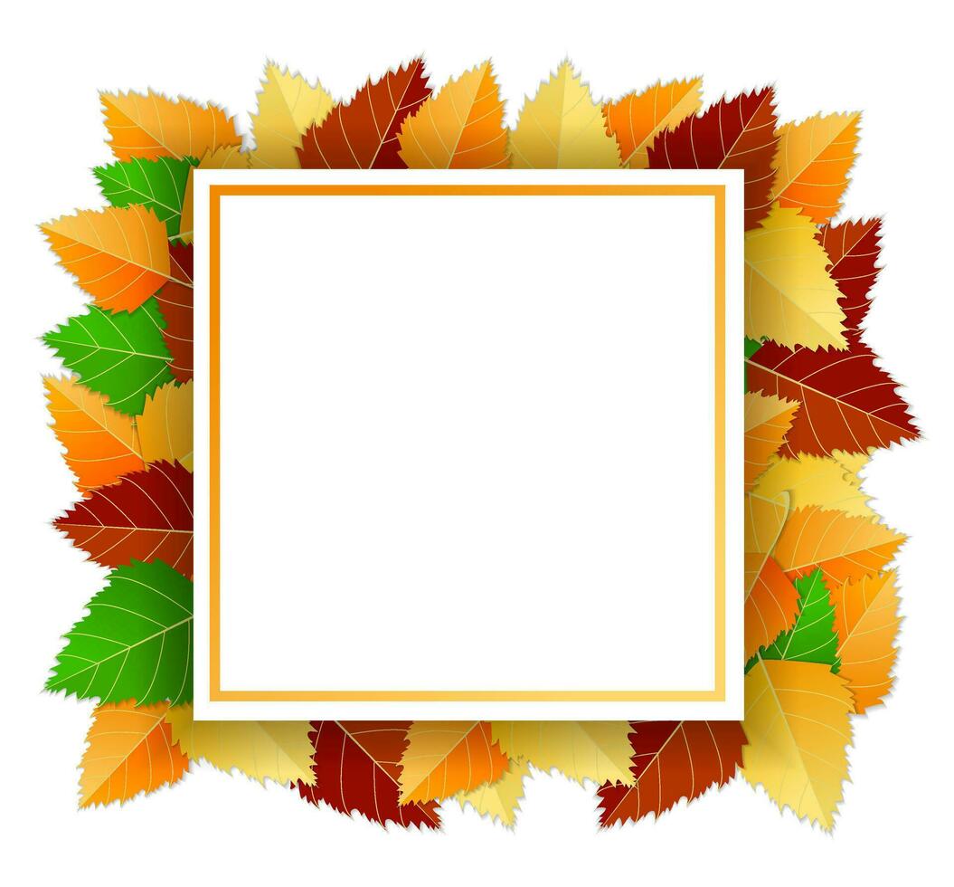 Autumn background with autumn bright leaves and square frame, paper white sheet on white background. Vector illustration. Template, layout, mockup for posters, brochures, invitations, certificates