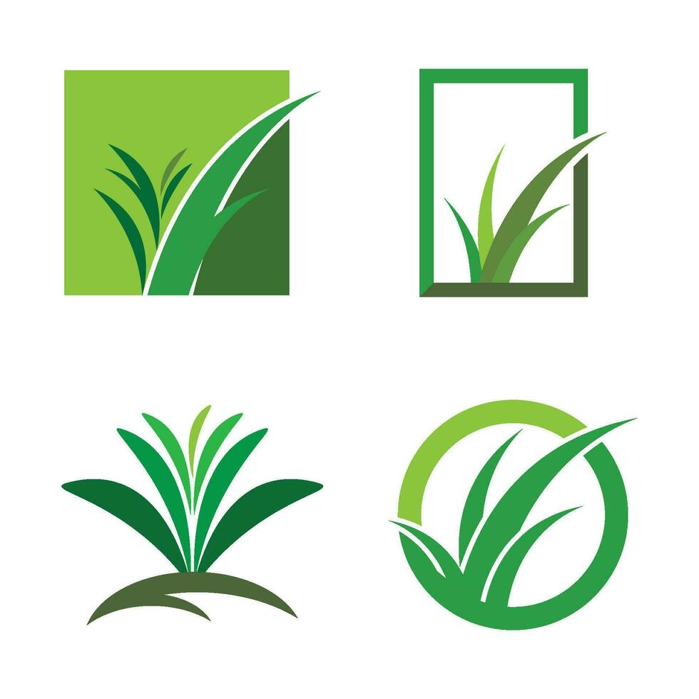 césped verde logo vector