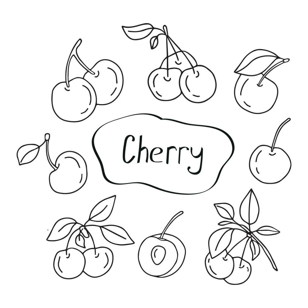 Hand drawn vector set cherry. Isolated, on a white background