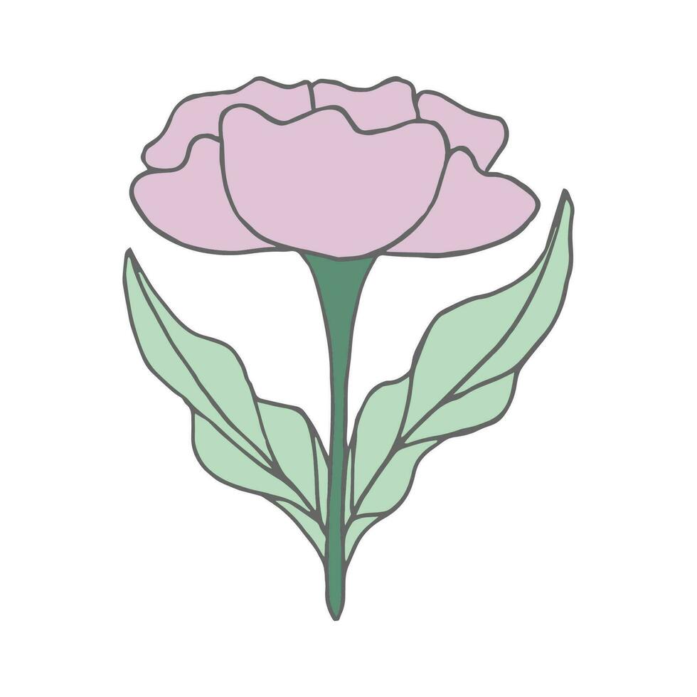 Floral graphic design. Hand drawn vector floral element.Doodle element. Modern botany.