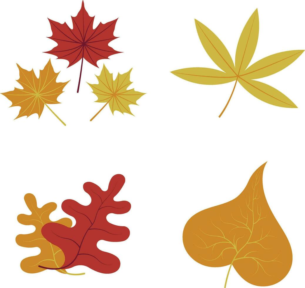 Autumn leaves set, isolated on white background. simple cartoon flat style, vector illustration.