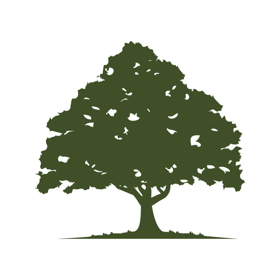 oak tree vector design illustration isolated on white background