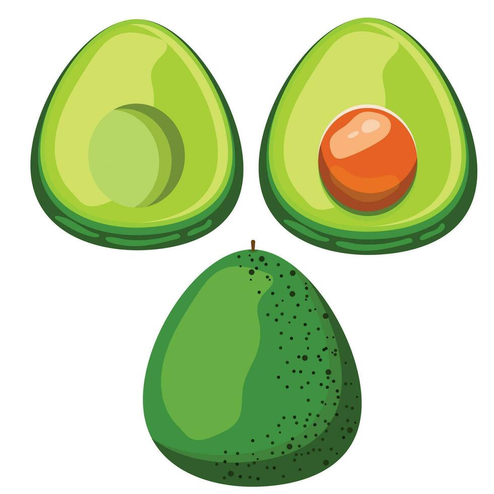 vector icon of avocado. avocado fruit in flat design. vector illustration