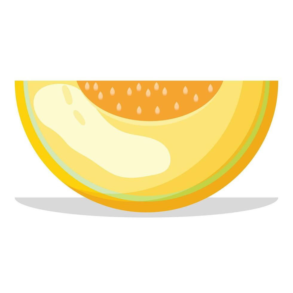 Cute fresh yellow melon illustration vector