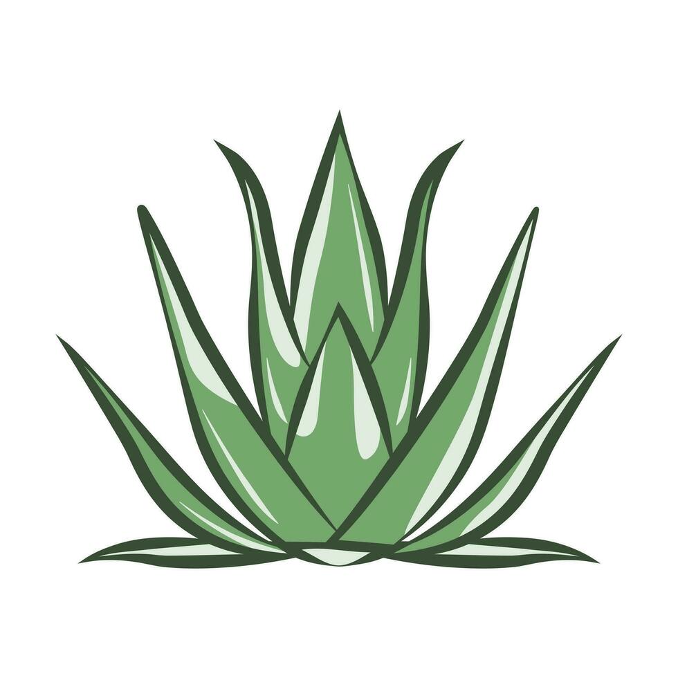 Aloe vera vector icon design. Herbal leaves organic logo.