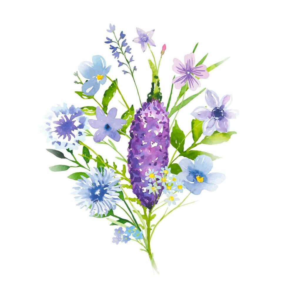 Floral watercolor bouquets with wildflowers, meadow flowers vector