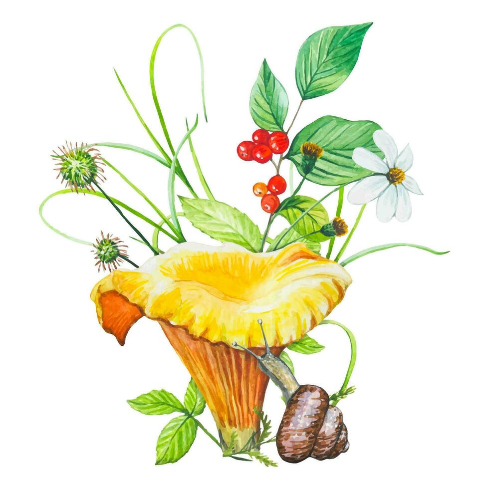 Forest watercolor composition. Illustration with mushroom, wild berries, herbs, snail. vector