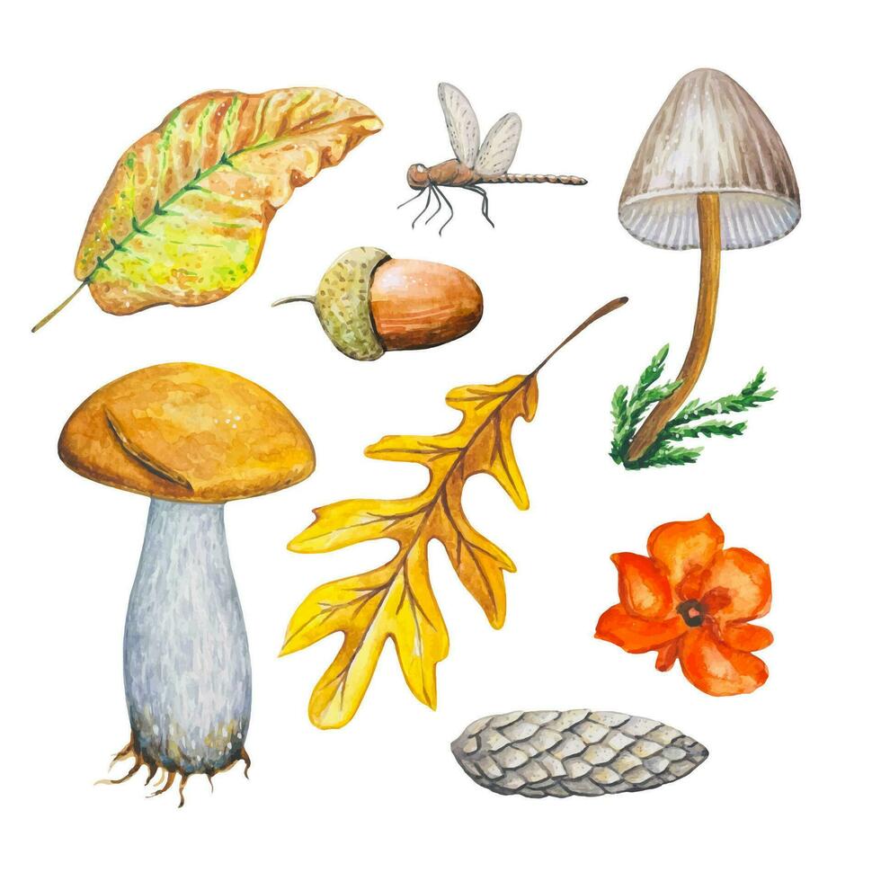 Forest set with watercolor mushrooms, leaves, acorn vector