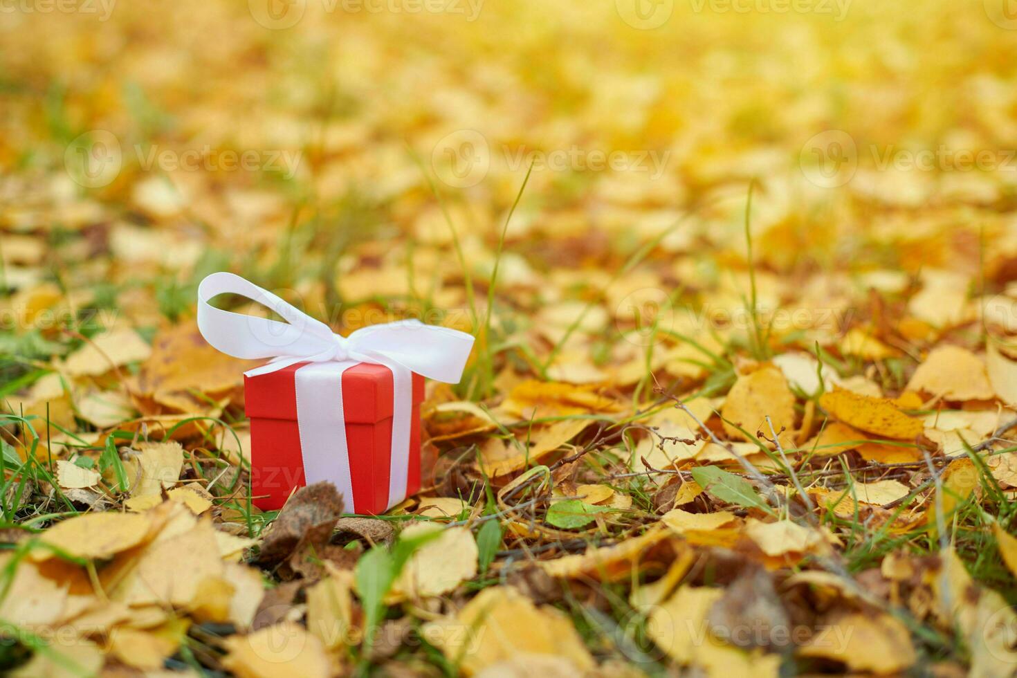 Autumn gift box photo