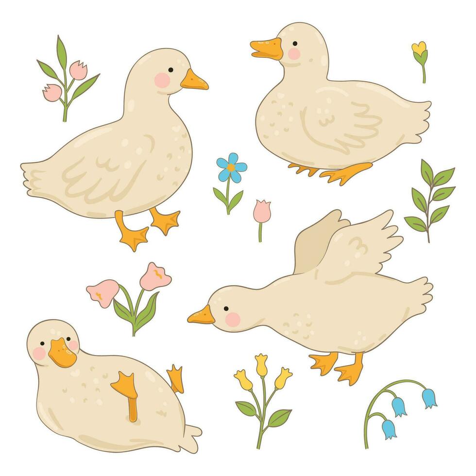 Set of cute white ducks isolated on white background. Vector graphics.