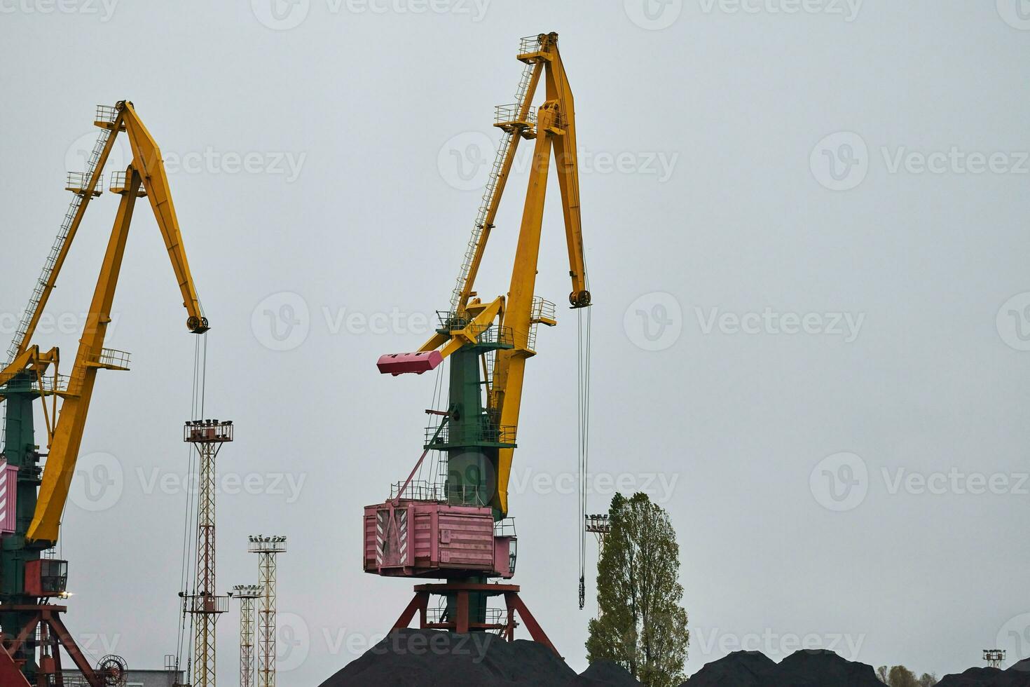 Harbor cranes, container ship terminal, cargo container yard photo