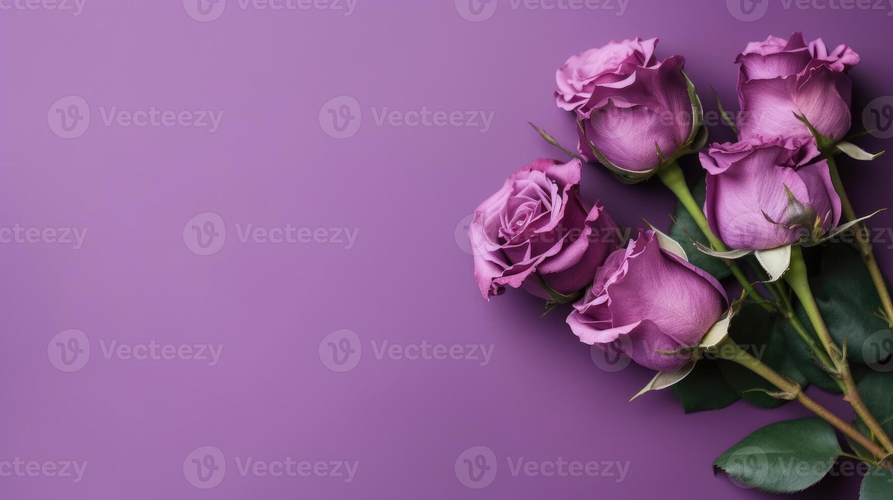 Purple roses on purple background AI Generated photo