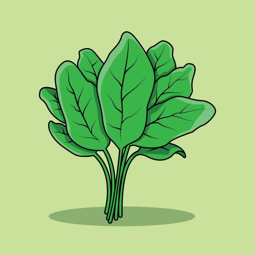 The Illustration of Spinach vector