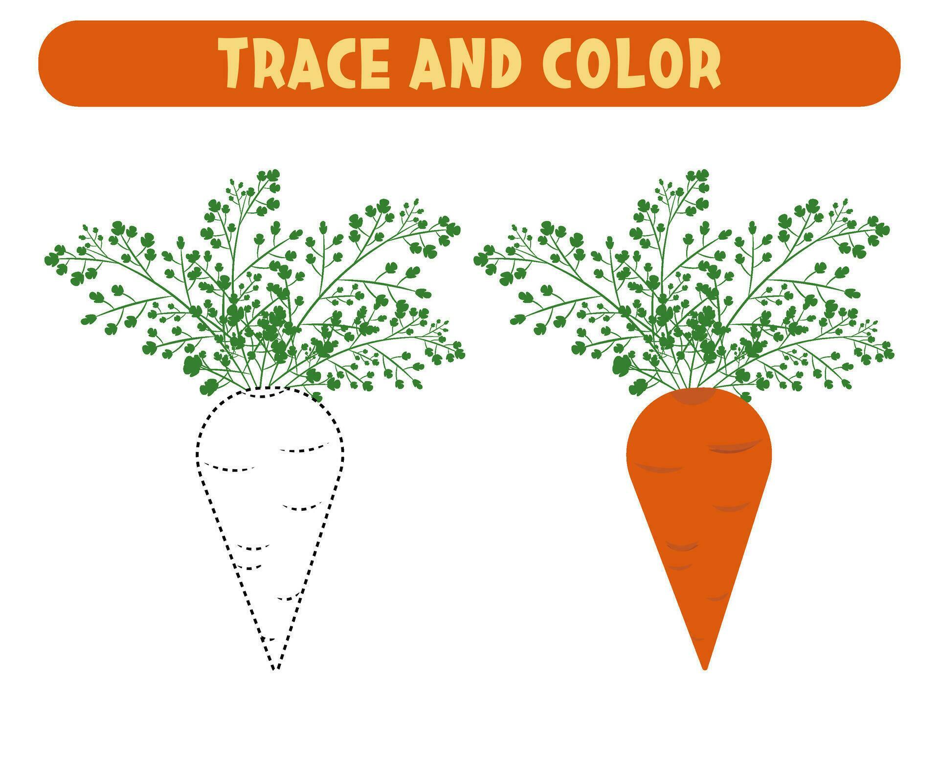 Trace and color cute cartoon carrot. Worksheet for kids 26511381 Vector