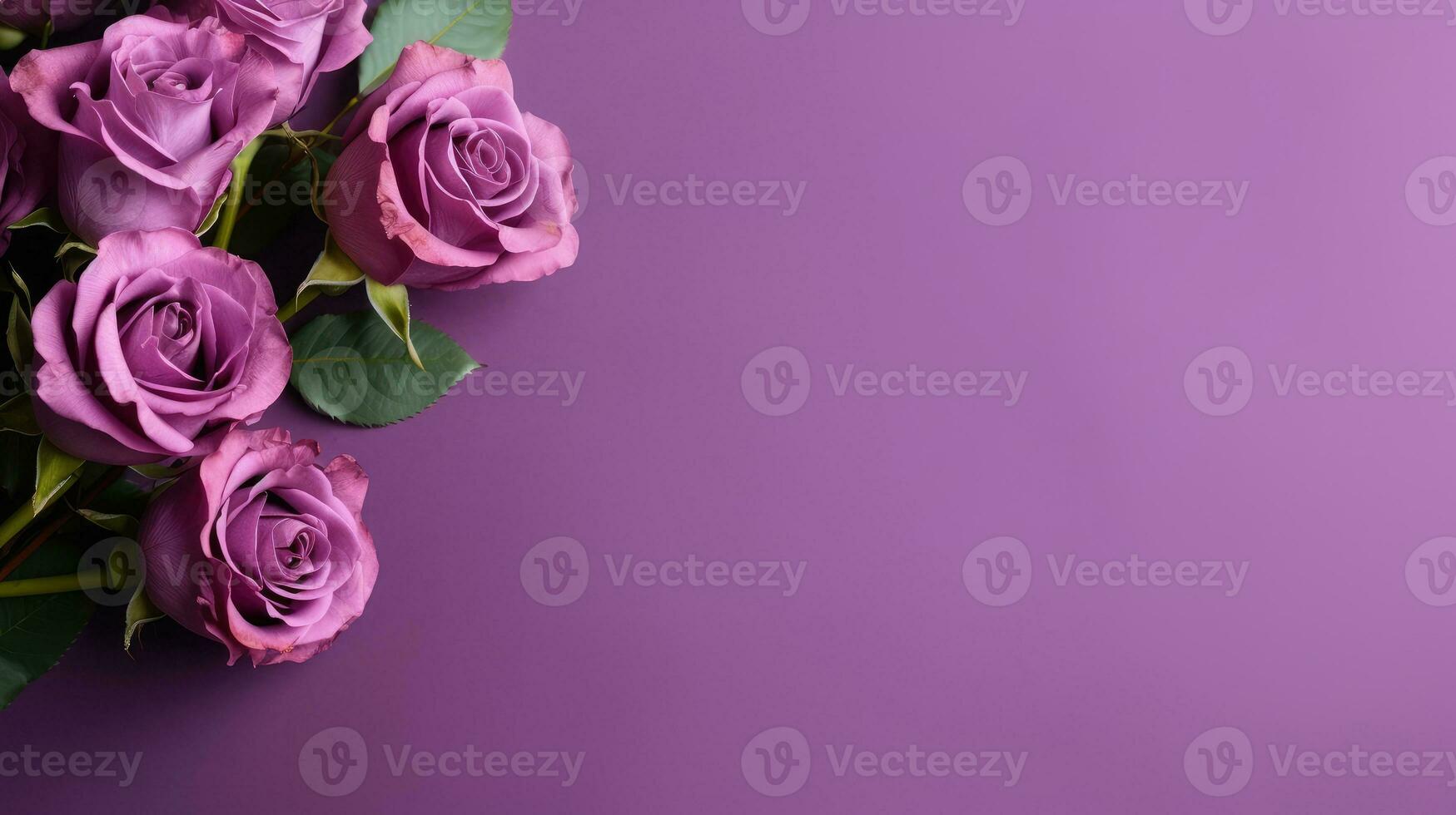 Purple roses on purple background AI Generated photo