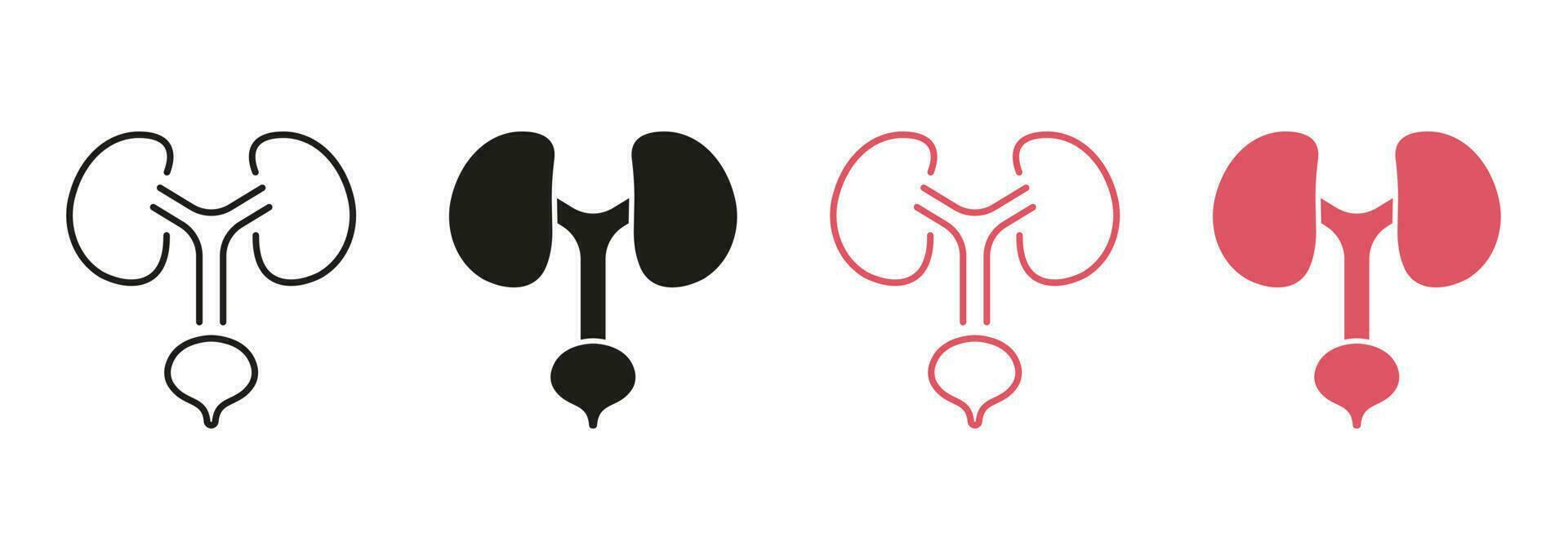 Human Urinary System Line and Silhouette Color Icon Set. Urology Disease Pictogram. Healthy Internal Organs, Health Bladder and Kidney Symbol Collection. Isolated Vector Illustration.