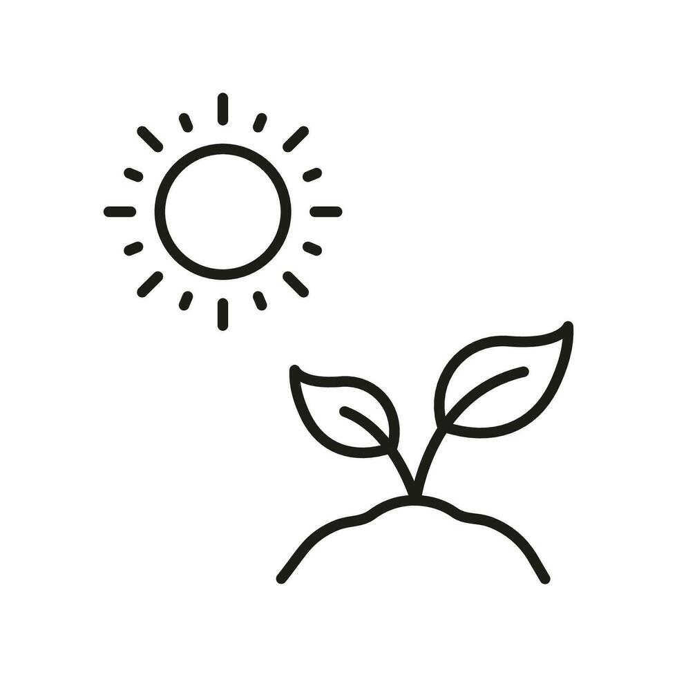 Sun and Plant, Tree Growth Line Icon. Organic Leaf, Environmental Agriculture Linear Pictogram. Eco Friendly Plant Outline Symbol. Gardening Sign. Editable Stroke. Isolated Vector Illustration.