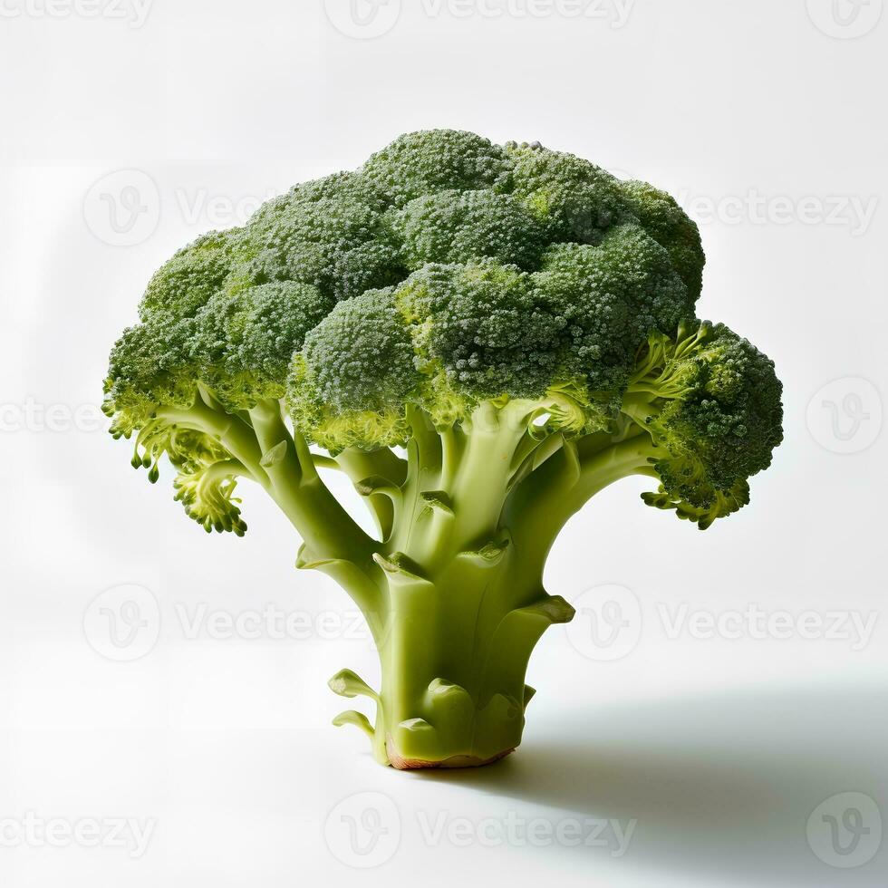 Broccoli Isolated on White Background AI Generated photo