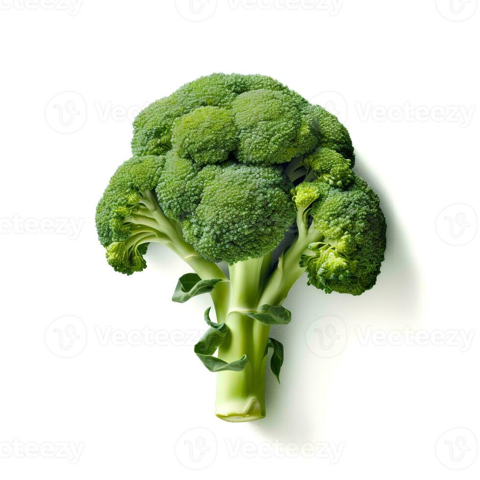 Broccoli Isolated on White Background AI Generated photo