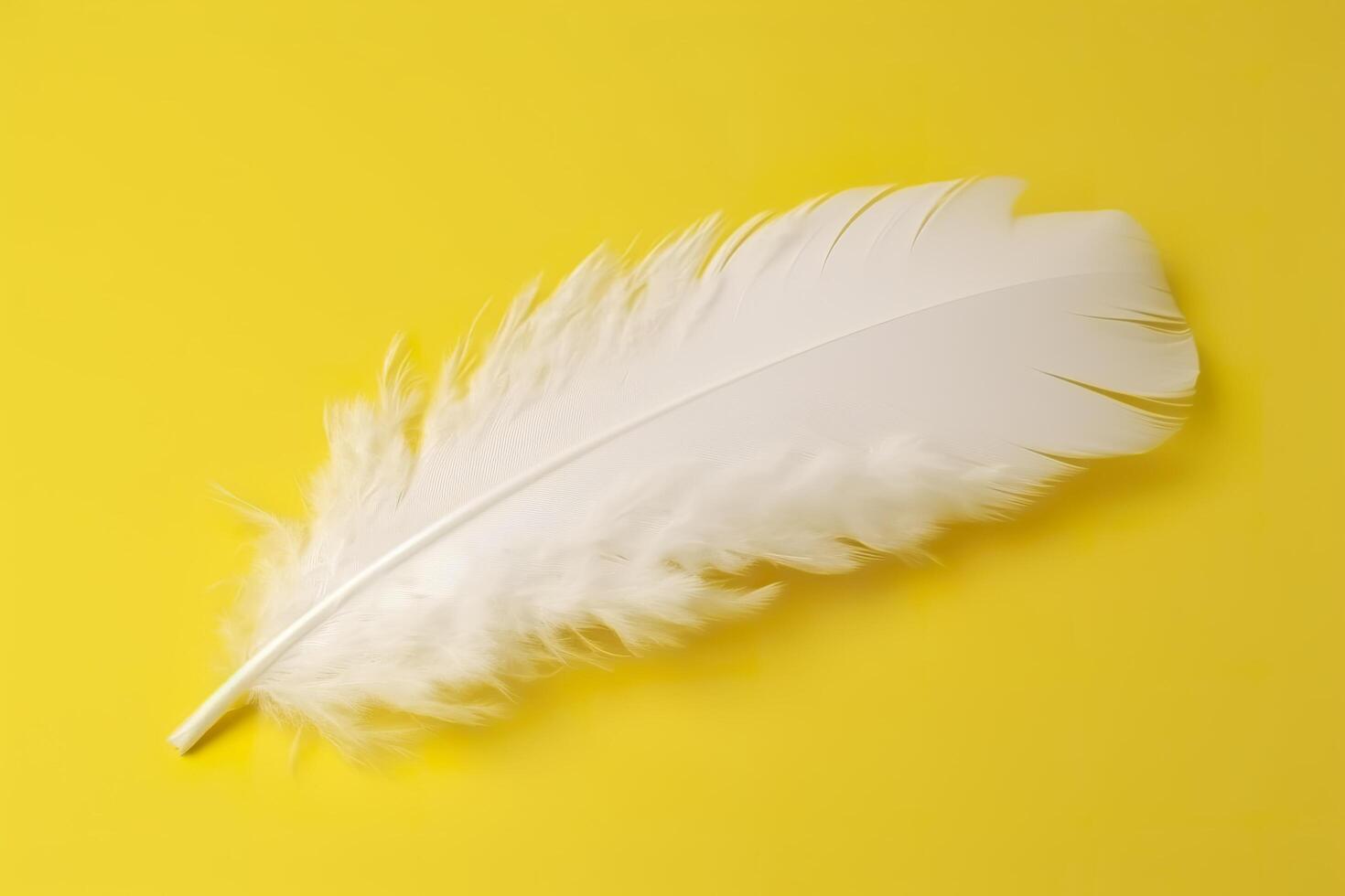 Close up of bright white feather. Copy space, yellow background. Fashion and Party concept. photo