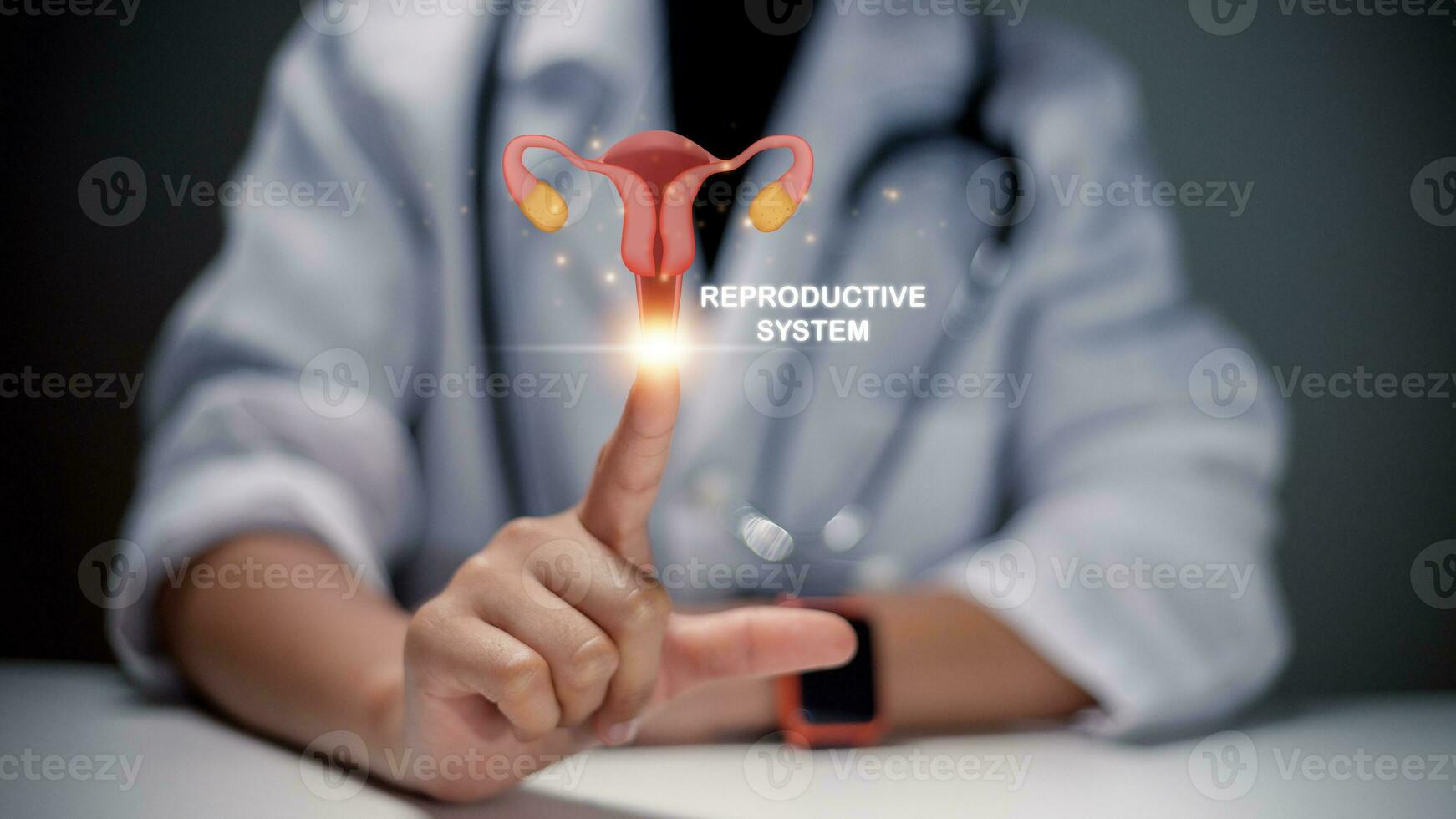 Healthy feminine concept. Doctor in a white coat checkup the uterus reproductive system, women's health, PCOS, ovary cancer treatment and examination, photo