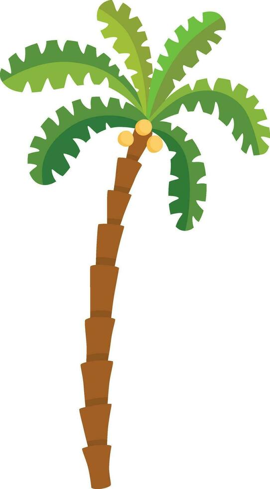 Palm tree  illustration vector