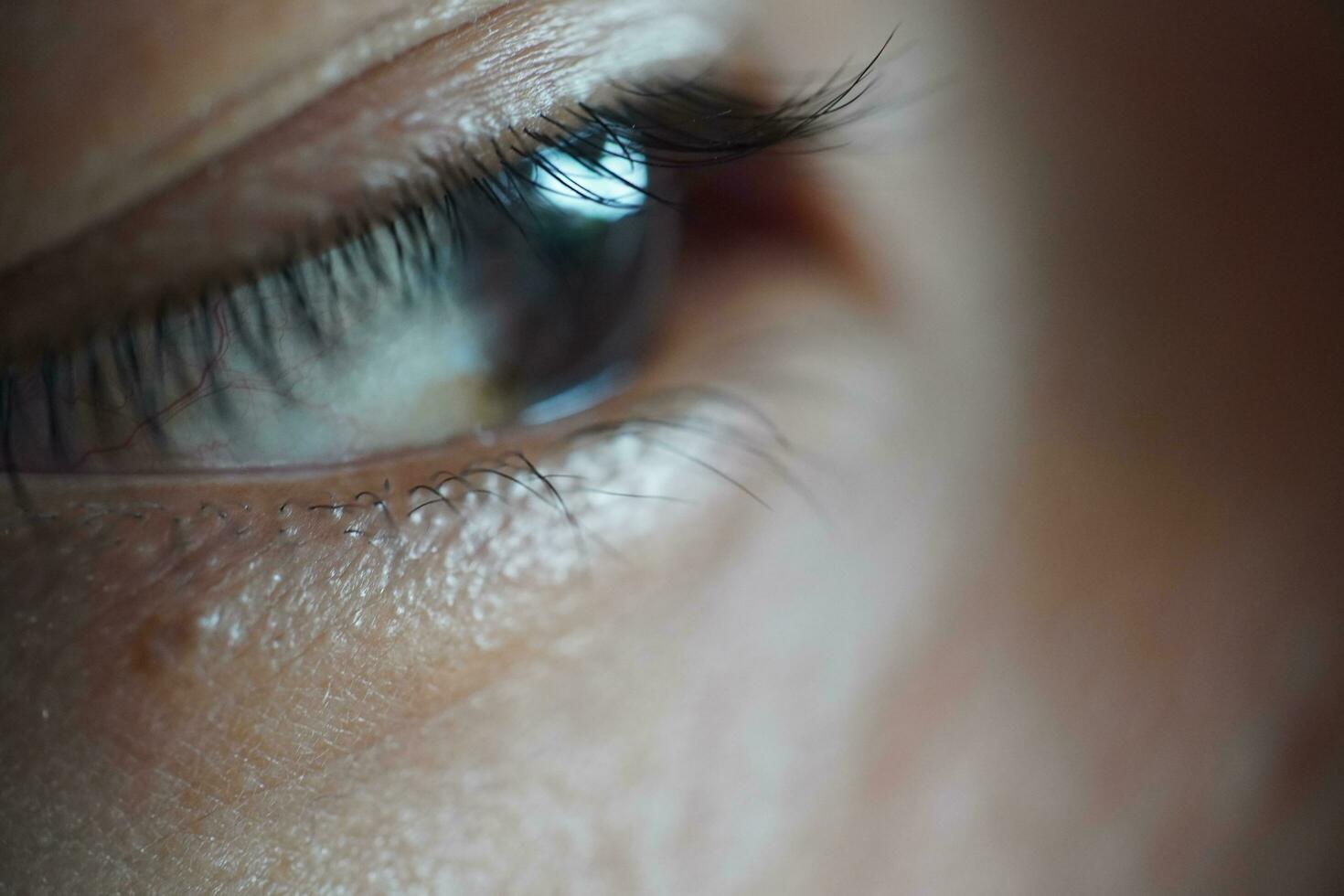 close-up of asian eyes, pupils, eyelids, eyelashes photo