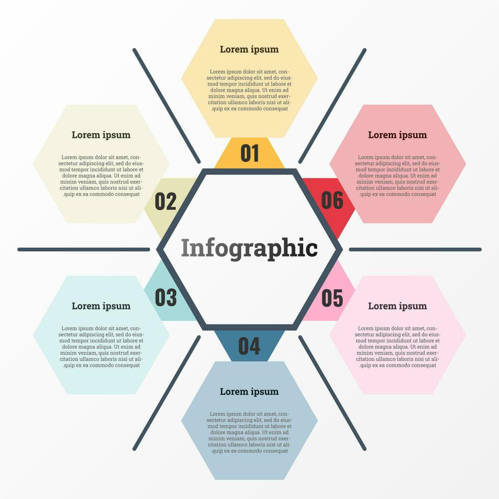 Infographic that reports about the workflow in each step with a total of 6 topics. vector