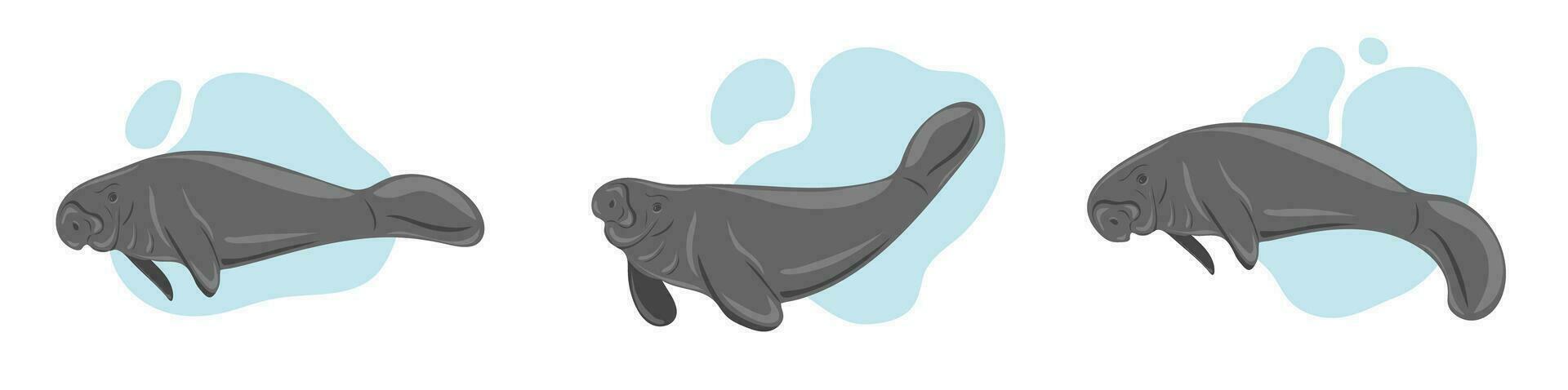 Manatees. Sea cows swimming underwater. Set of marine dwellers vector