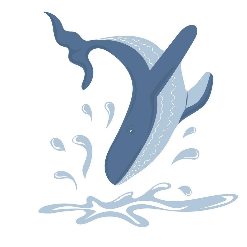 Blue whale jumping in water. Marine dweller vector