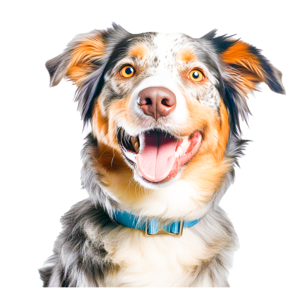 very beautiful dog Generative Ai png