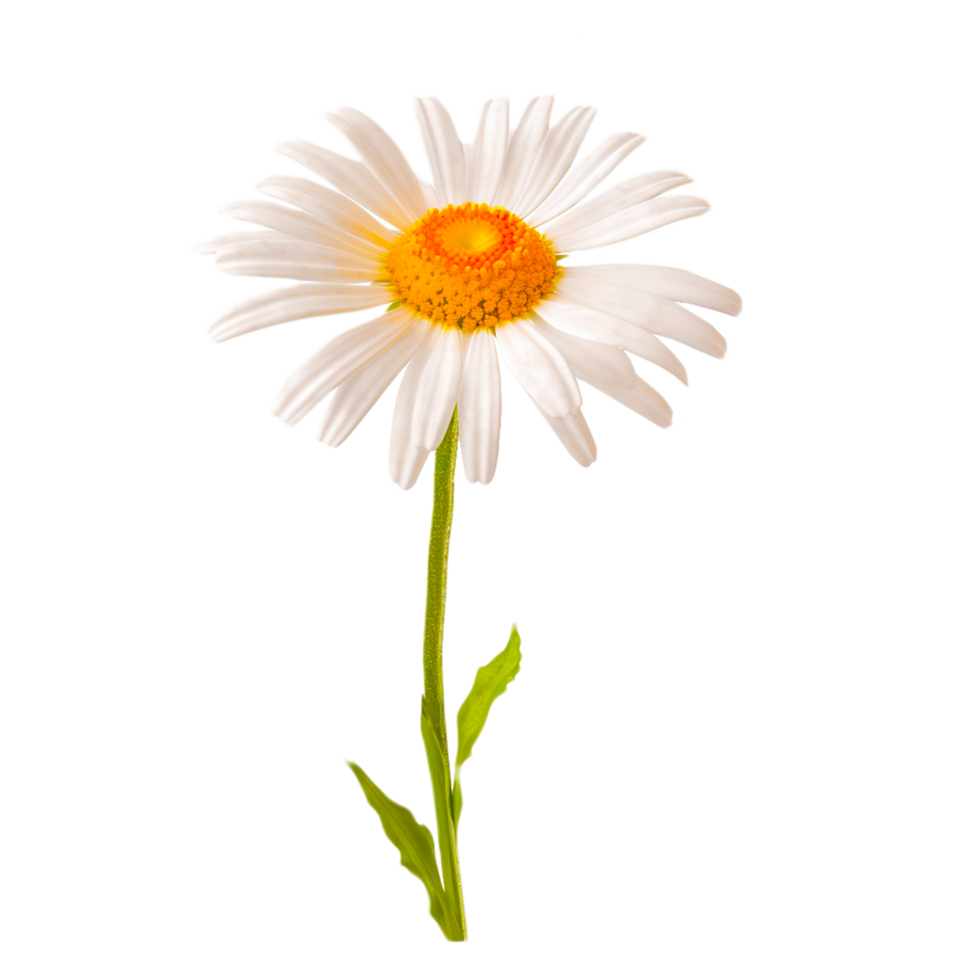 Blumen Clip Art generativ ai png