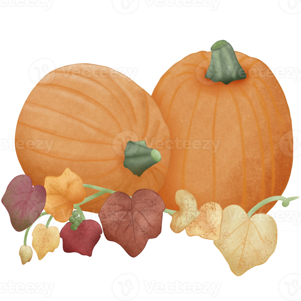 Autumn big pumpkin png