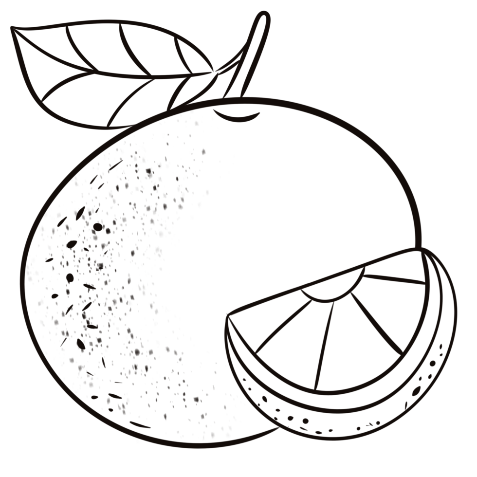 Orange out line. png