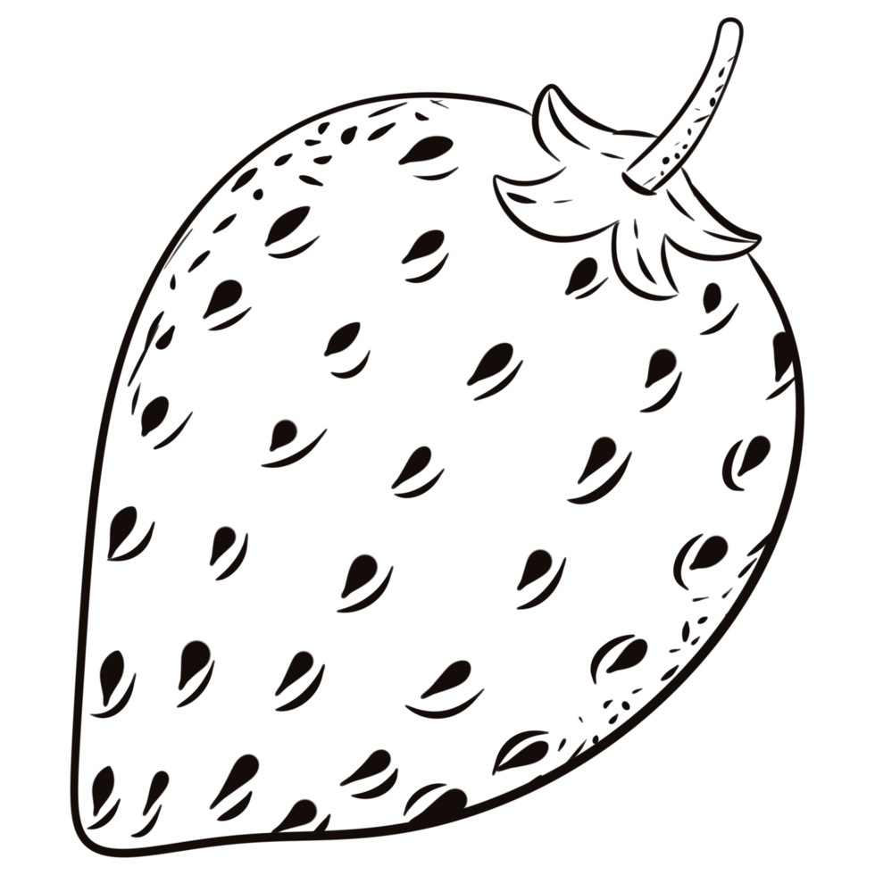 Strawberry outline hand drawn. png
