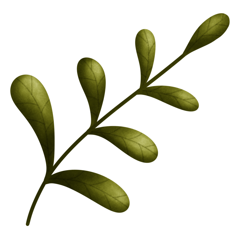 Cozy autumn green leaf branch png