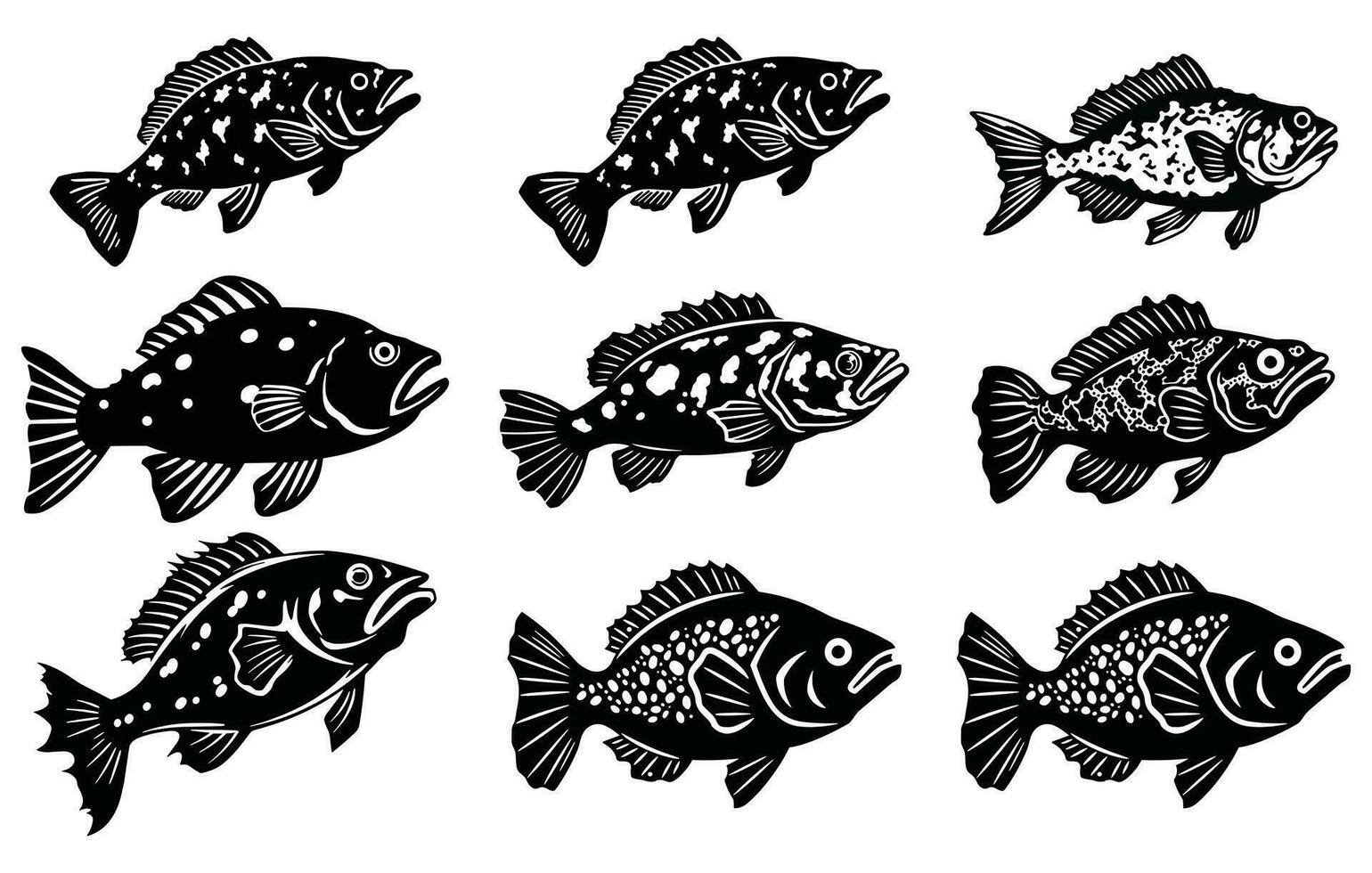 set bundle of grouper fish vector, grouper fish illustration icon. vector