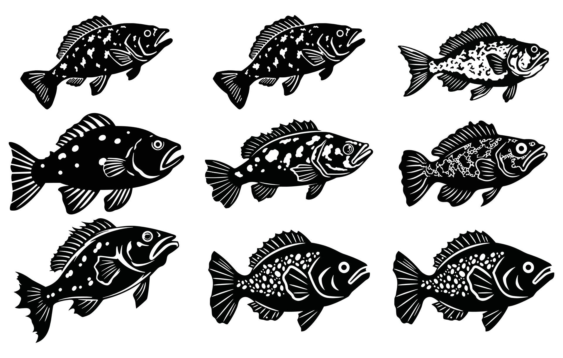 set bundle of grouper fish vector, grouper fish illustration icon