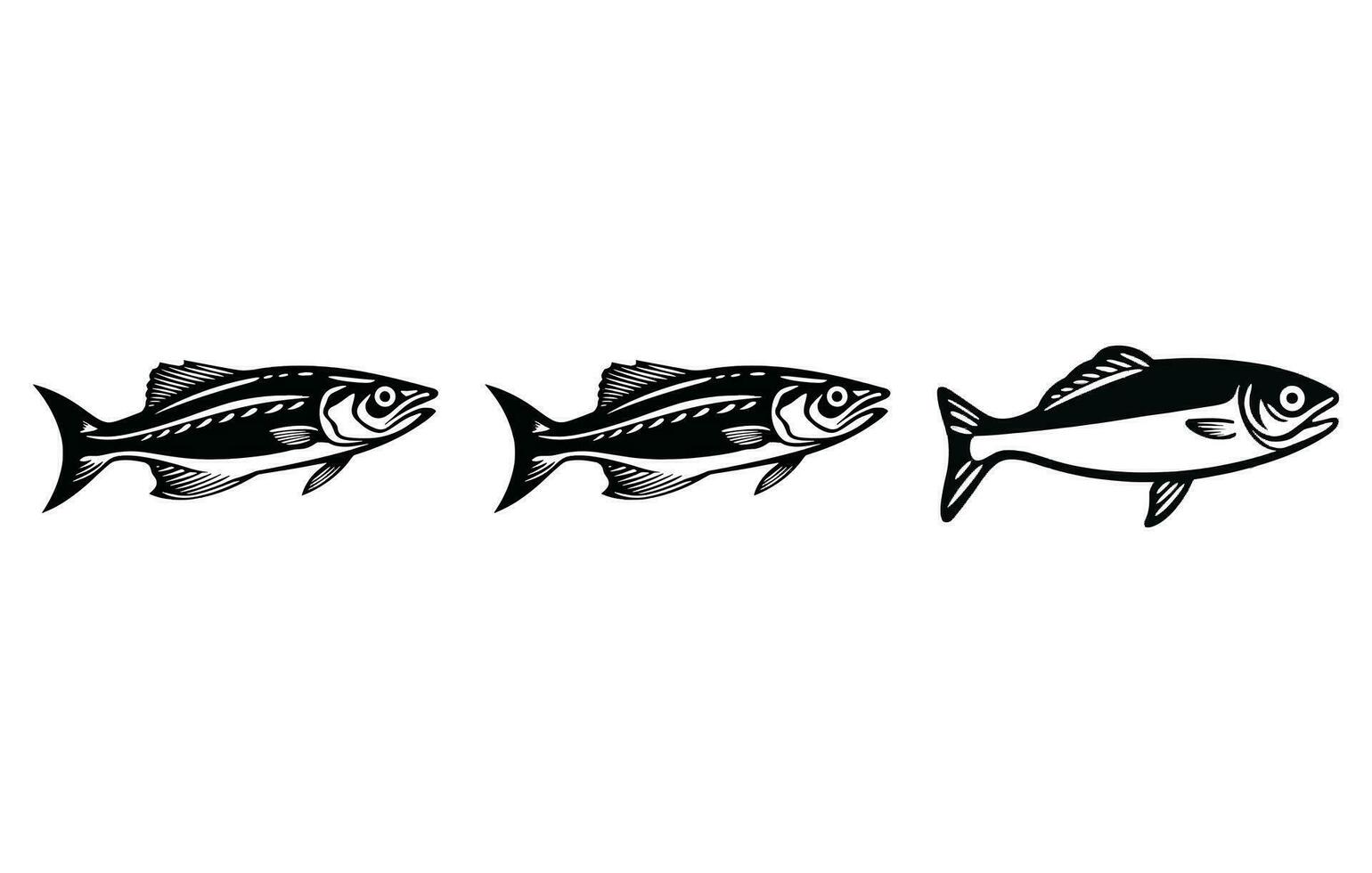 River sardine fish illustration , sardine vector icon