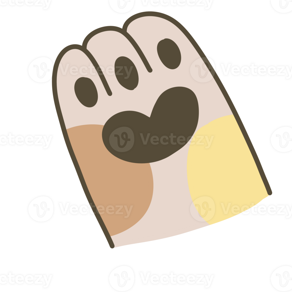 Paw calico cat animal foot png