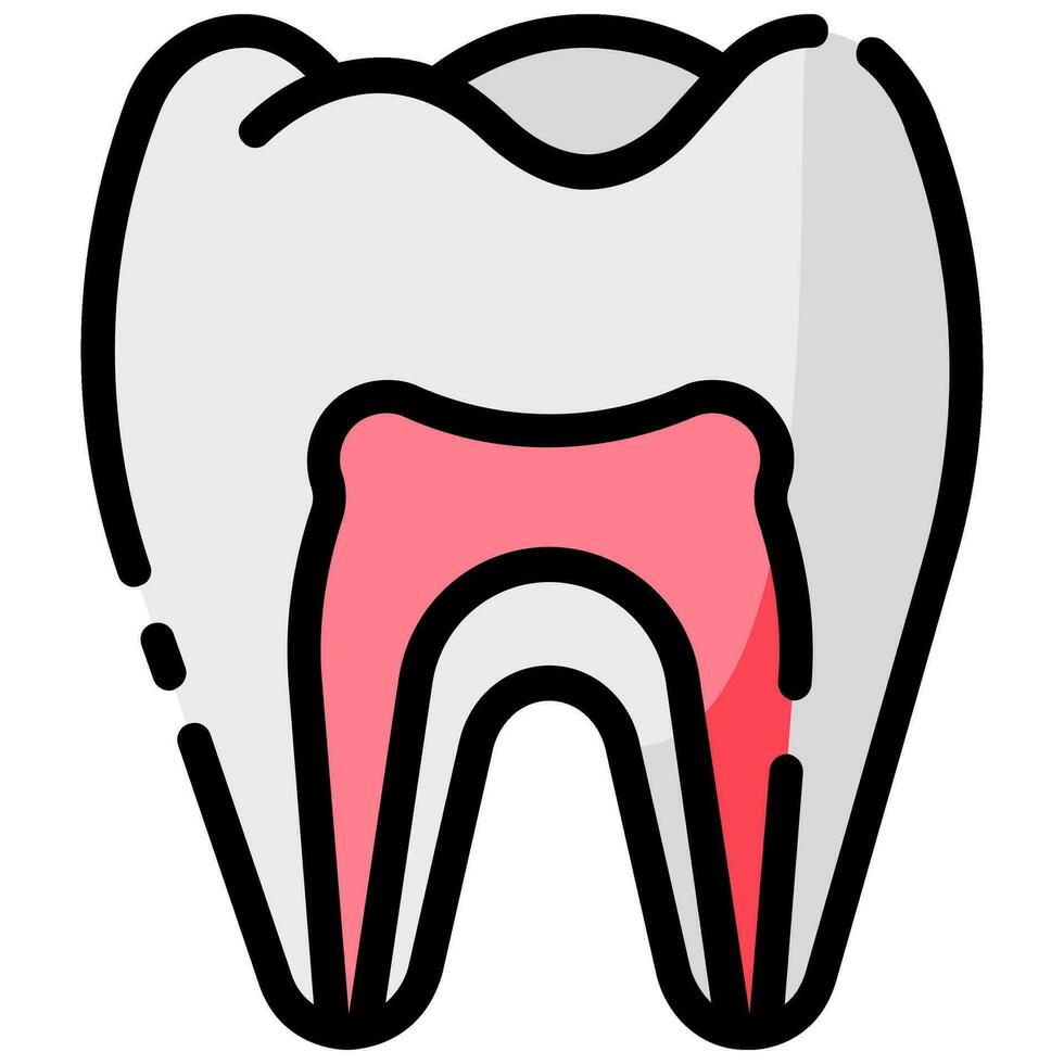 diente anatomía vector lleno contorno icono