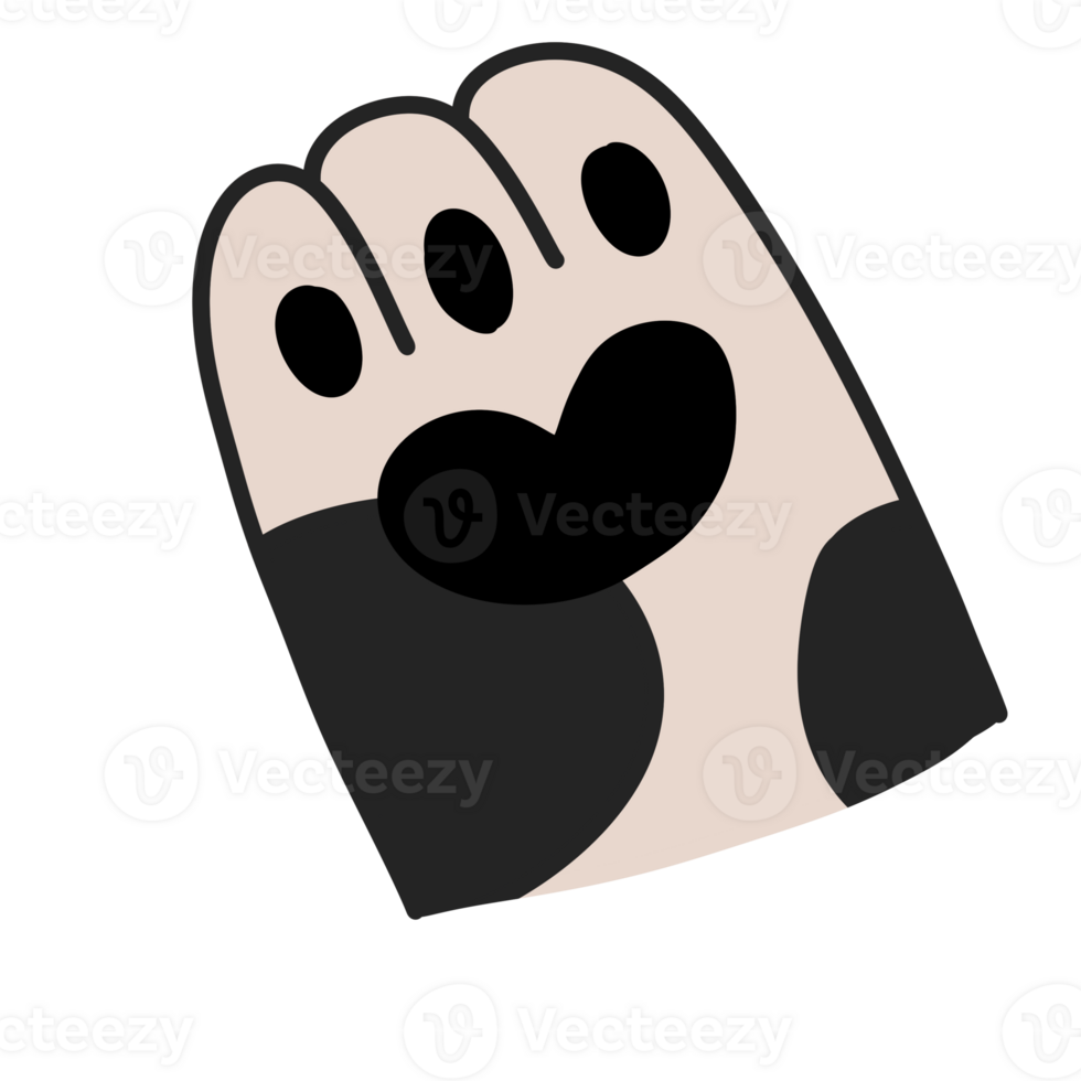 Paw tuxedo cat animal foot png