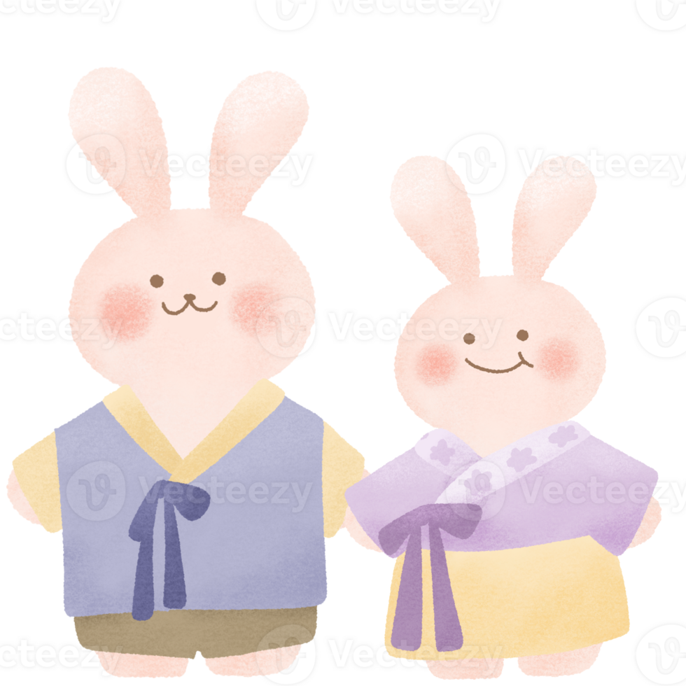 rabbit hanbok Korea costume png